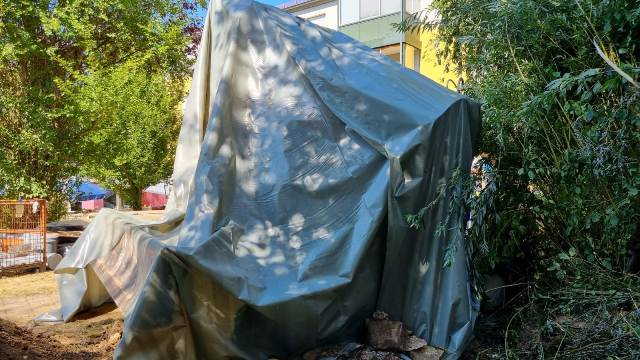 IMG-20220722-WA0014 groß.jpg